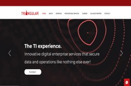 Website Design and Development in WIX